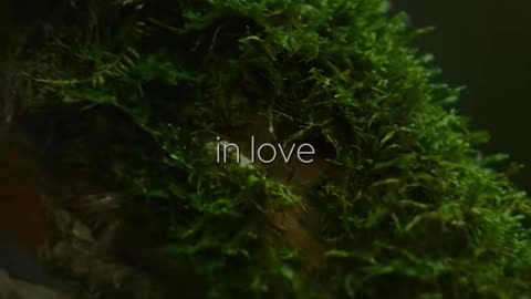 🙏✨ Wednesday's Blessing | A Prayer for Wisdom and Guidance | InGodWeTrustDaily