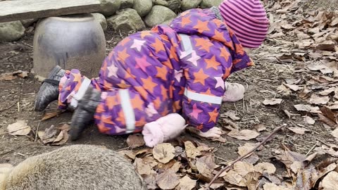 Baby Kayla Feeding the Bunnies Outside 🐰🥕 (So Cute!)