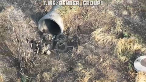 Roasting of khokhlomozdykh creatures.🤣