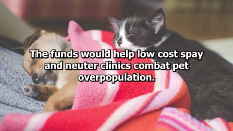 Spay and Neuter bill