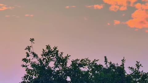 Sunset ❤ My Village ❤ #maxrecords #villagelife #larkana #sindh #pakistan