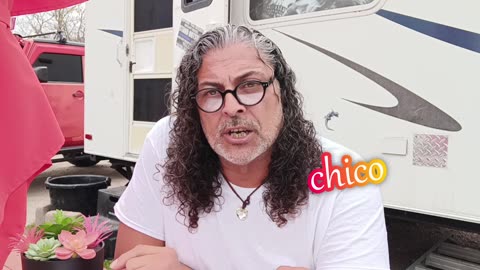 Narcissist Chronicles