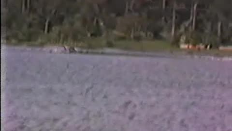 Bailey Vacation/Home Video