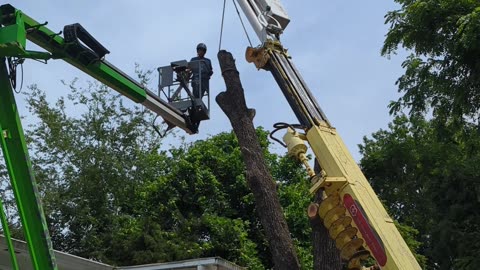 Tree Work Side Effect