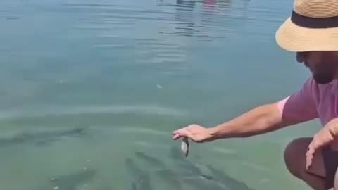 🎣😂 This Guy's Fishing For Humans Will Crack You Up! | FunFM
