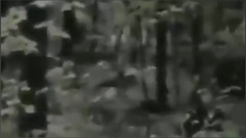 Demon in the Woods, Lost Footage