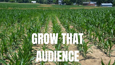 LUKE SERMONS! (Cultivating & Respecting an Audience As a Creative)