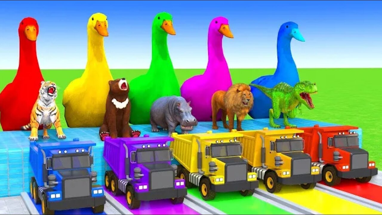 long side animal