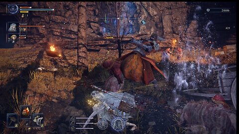 Nightreign failed attempt