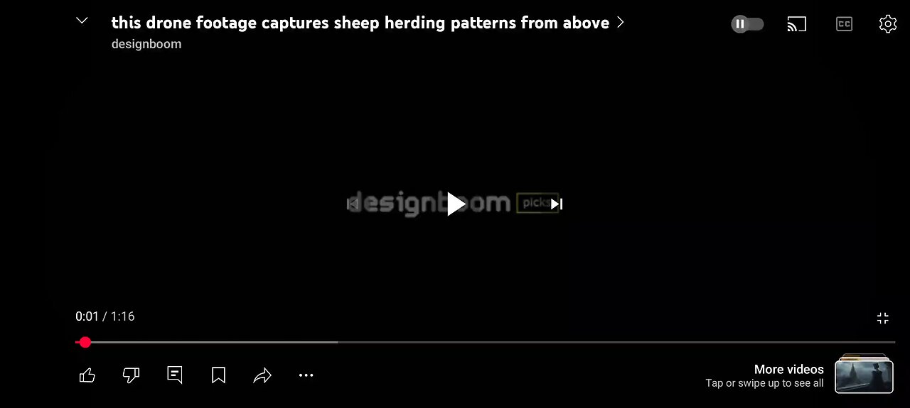 sheep harder infinite turbulence
