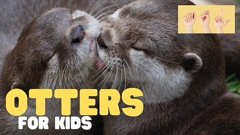 ASL Otters for Kids