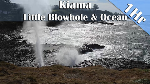 1 Hour of Blowhole & Ocean Ambience | Rhythmic Waves for Sleep, Focus & Relaxation