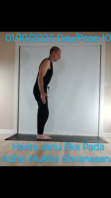 Hasta Janu Eka Pada Adho Mukha Shvanasana