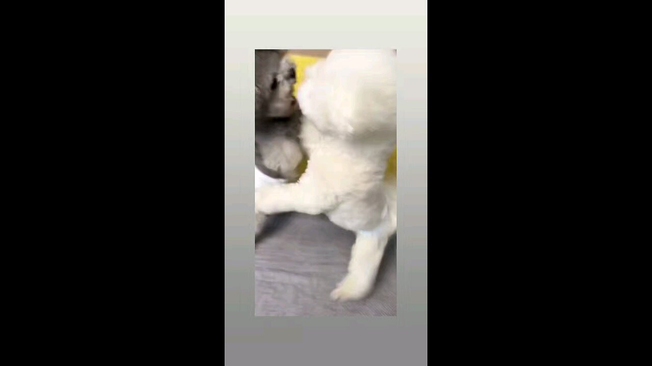 इनकी भी प्रोपर्टी की समस्या है