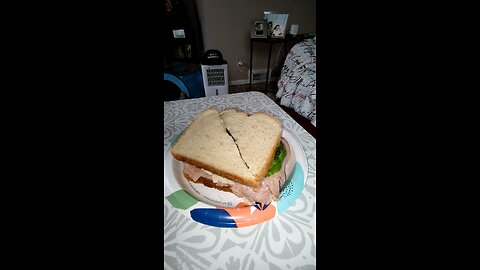Eating Hillshire Farm Ultra Thin Honey Roasted Turkey Breast, Dbn, MI, 9/23/25