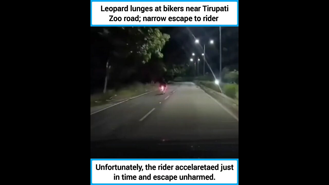 Unfortunately, the rider accelaretaed just in time and escape unharmed.