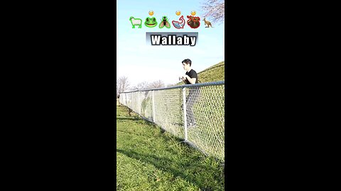 How Animals Jump Over Fences – Emoji Style!