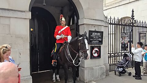 King's guard