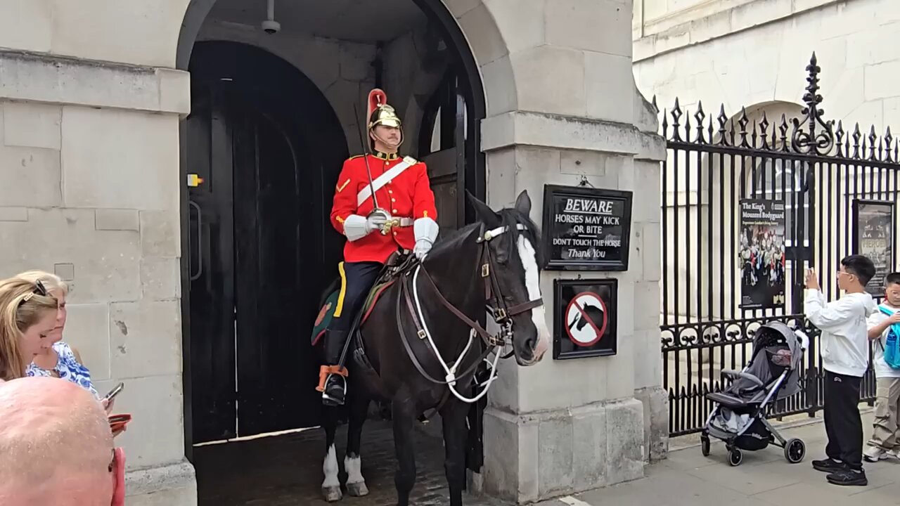 King's guard