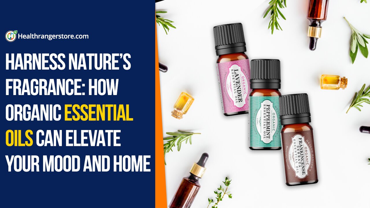 Harness nature’s fragrance: How Organic Essential Oils can elevate your mood and home
