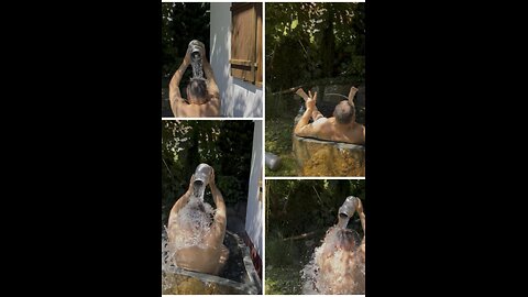 Pia’s Nature Retreat