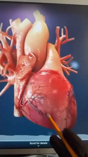 THE HEART IS A VORTEX — THE TRUE TREASURE CHEST OF THE SOUL 💗⚡🌍