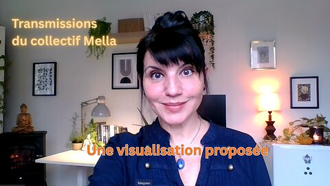 Une visualisation proposée | Transmissions du collectif Mella