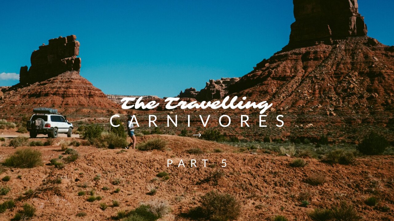 🚙 Part 5 | The Travelling Carnivores | All About Utah | Day 17- Day 19