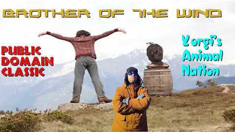 Yorgis Animal Nation: Brother of the wind