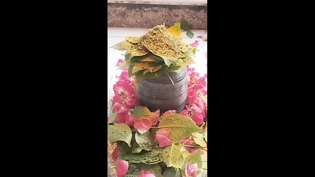 Hamne karaya rudrabhishek