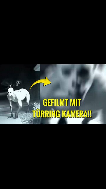 Der Eingangs Clip ist vermutlich fake, doch der Rest wurde auf seine Echtheit überprüft