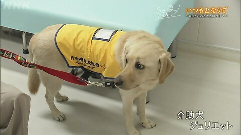 Dearにっぽん 「いつもとなりで～大阪・ジュリと老医師の日々～」