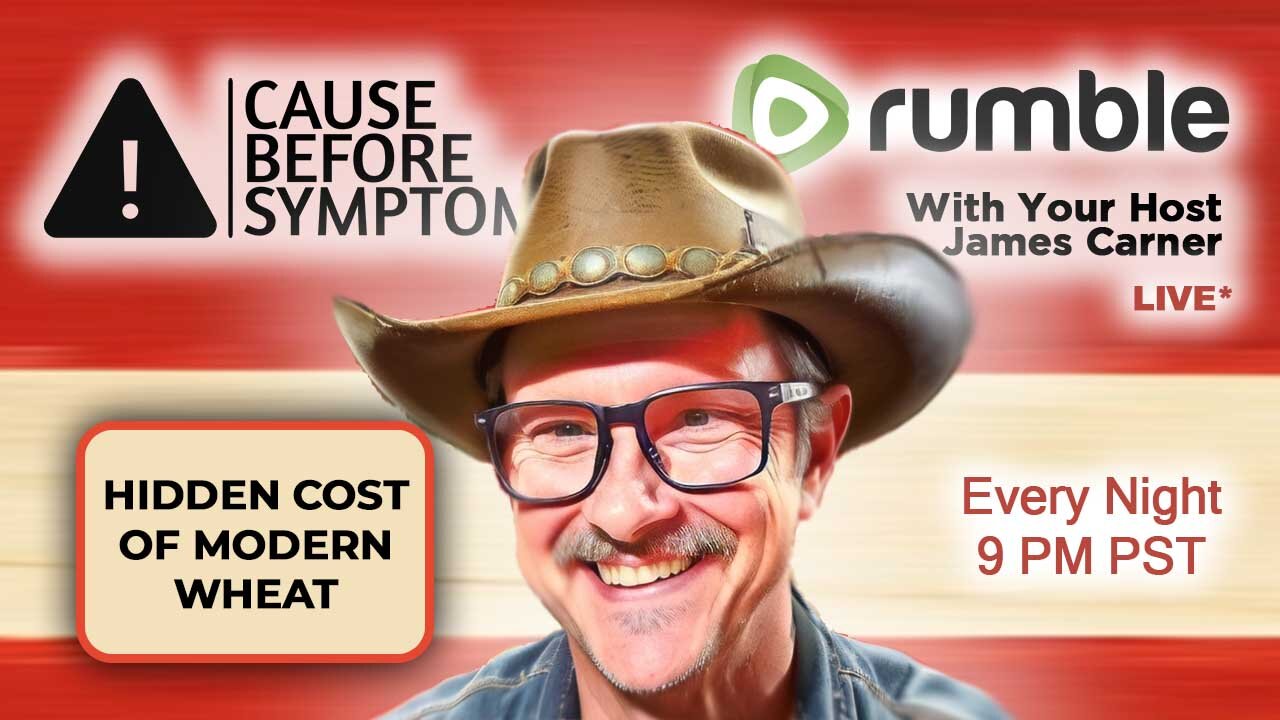Hidden Cost of Modern Wheat — Death Without Blame