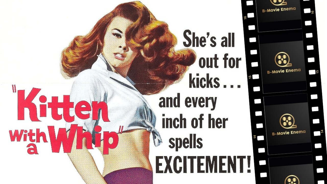 Kitten With A Whip 1964