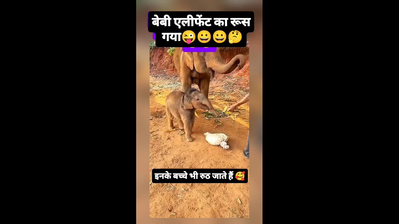लो एनके बच्चे भी रुठ जाते है