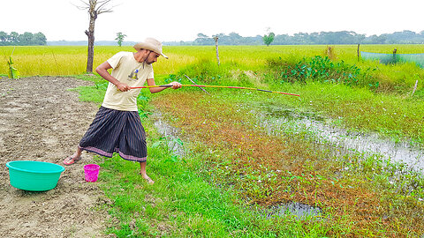 Amazing Hook Fishing in Village Pond with Beautiful Natural