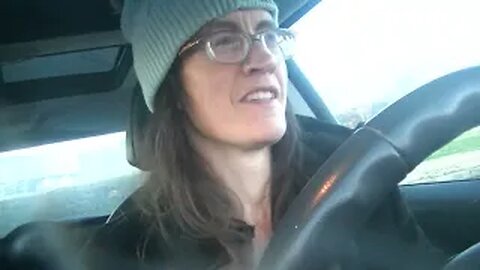 i like dinosaurs for the novelty of fake news