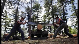 Whipsaw Risk The New Corporate Fright Scenario