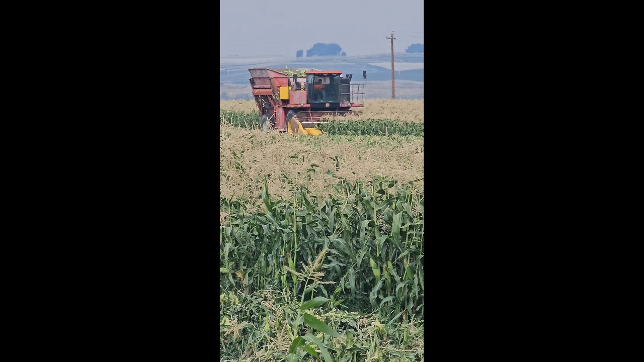 Fun to See Harvest happening.