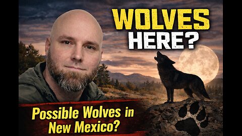 Lybertee Park Field Report: Wolves & Infrastructure Update