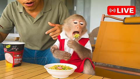 Bibi enjoys delicious instant noodles with Uncle Phong!