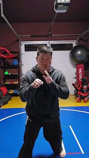 WTD Hand Combination Z, Kickstance Set (Rank 1)