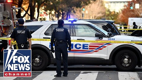 ‘STICKING HIS NECK OUT’: 'Ruthless' host applauds Trump for taking charge of crime in DC