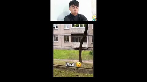 Try not to laugh challenge😂😂😂