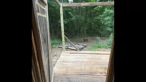Screened Porch Time