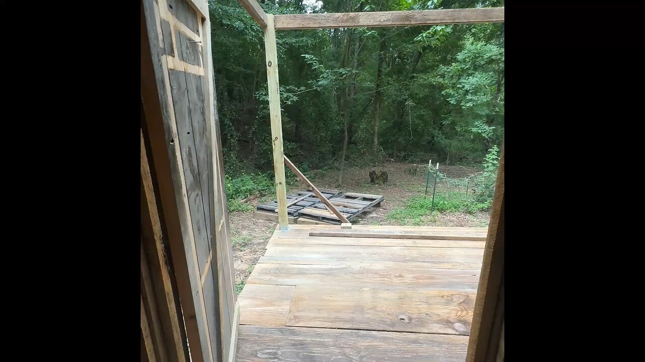Screened Porch Time