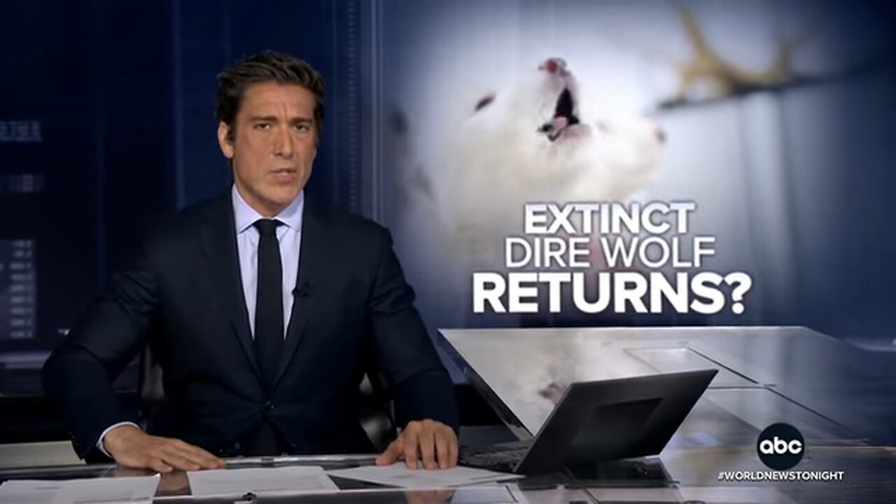 Scientists: Dire wolf brought back from extinction after 13,000 years