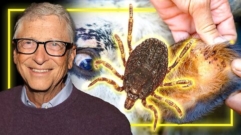 BREAKING: US Scientists- Funded By Bill Gates- Study Releasing Ticks Engineered