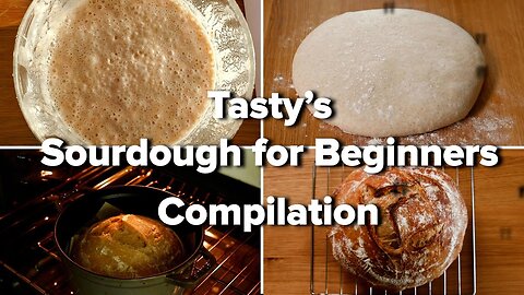 Tasty's Sourdough For Beginners