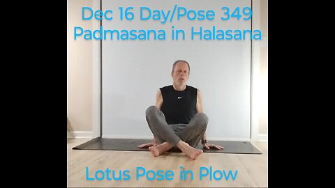 Padmasana in Halasana / Lotus Pose in Plow